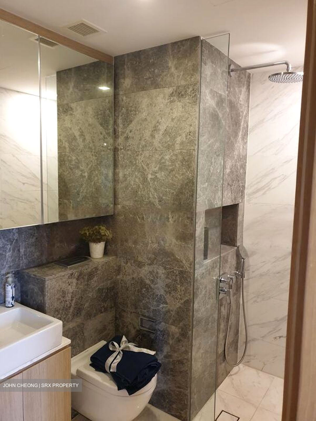 The Peak @ Cairnhill II (D9), Apartment #442436511